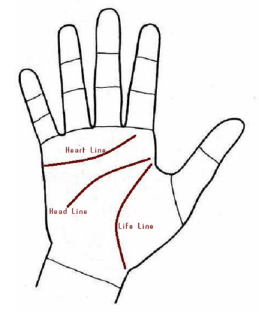 Palmistry